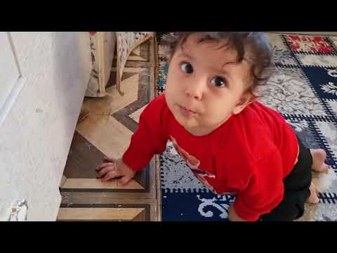 ۲۹ اکتبر ۲۰۲۵