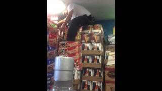 Best Budweiser Delivery