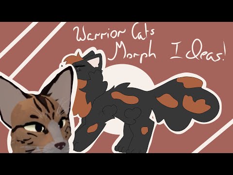 Warrior Cat Morph Ideas Roblox Youtube - roblox warrior cats morph ideas