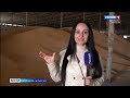 Вести Карачаево-Черкесия 24.10.2023