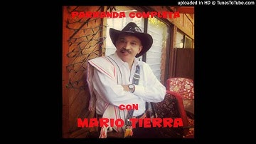 Mario Tierra-El Cornudo