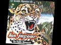 LOS JAGUAR DE VALLE HERMOSO Mix