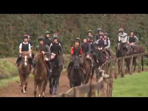 Racing Post Stable Tours