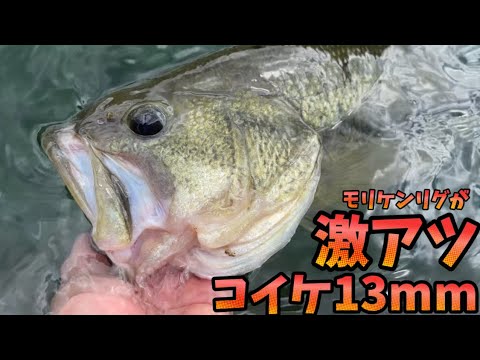 秋のバス釣りで激釣れワーム！コイケ13mmのモリケンリグが釣れ