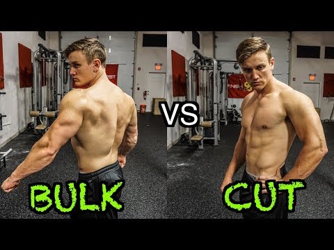 Bulk vs. Cut  Which One Is Best For You? – Crazy Nutrition (UK)