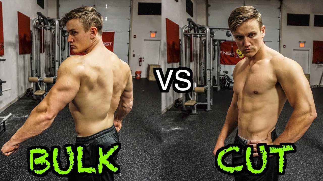 Should I Bulk vs Cut? The Definitive Guide