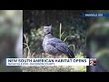 New South American habitat opens at Nashville Zoo