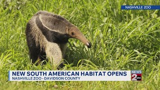 New South American habitat opens at Nashville Zoo