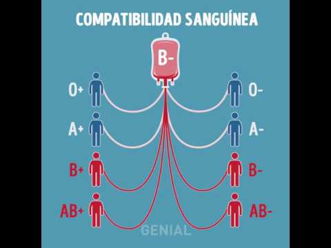 0 rh positivo a quien puede donar 0 rh positivo a quien puede donar