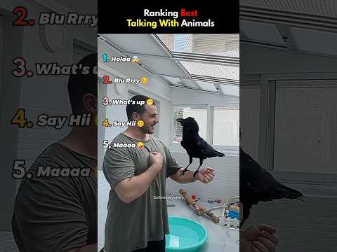 DO NOT CHECK THE SOUND ππ