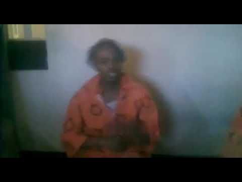 Syfo freestyle