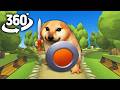 What The Dog Doin? Dog Chase You ! | 360° VR | Tiktok AR Dog meme