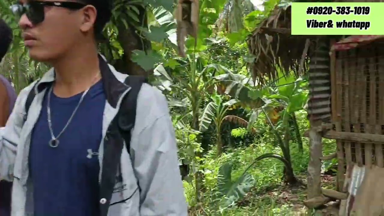 Lot#43 Rush!  120 PESOS PER SQ.M 3.3 Hectares Along national highway