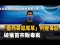 墨西哥鼠尾草 列管毒品 破獲首宗販毒案 民視新聞 墨西哥鼠尾草 列管毒品 破獲首宗販毒案 民視新聞