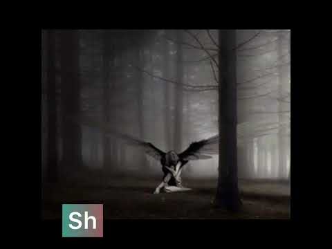 كام مره اتسابتي ومفرقتيش عقلك محتار مع قلب غشيم يختار ويسيبك بتعاني