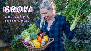 Harvesting from my Sustainable Urban Permaculture Garden // July Edible Garden