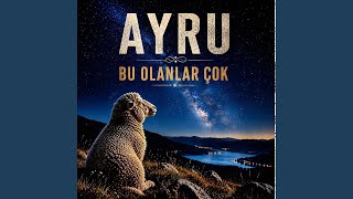Bu Olanlar Çok