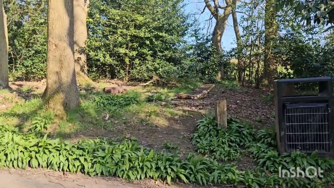 A walk around batley park and looked a bagshaw museum