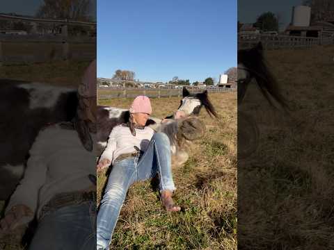 Perfect Way To Wake Up Horse Cowgirl Gypsy Ground Dream