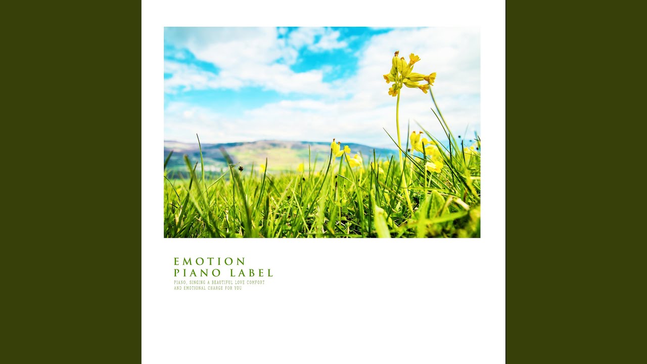 One Night In The Snow (Nature Ver.)