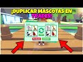 ¡COMO DUPLICAR MASCOTAS EN TRADES DE ADOPT ME!🤑 ¡FUNCIONA!