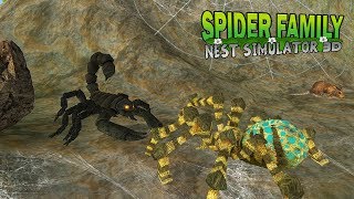 Spider Family Nest Simulator 3D screenshot 5