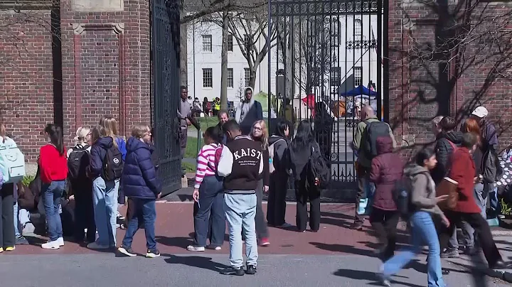 Harvard students express opposing views on school's handling of pro-Palestinian demonstrations