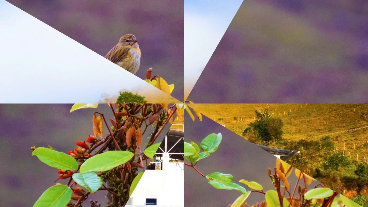 CAT #52 - Mensagem de Fim de Ano.