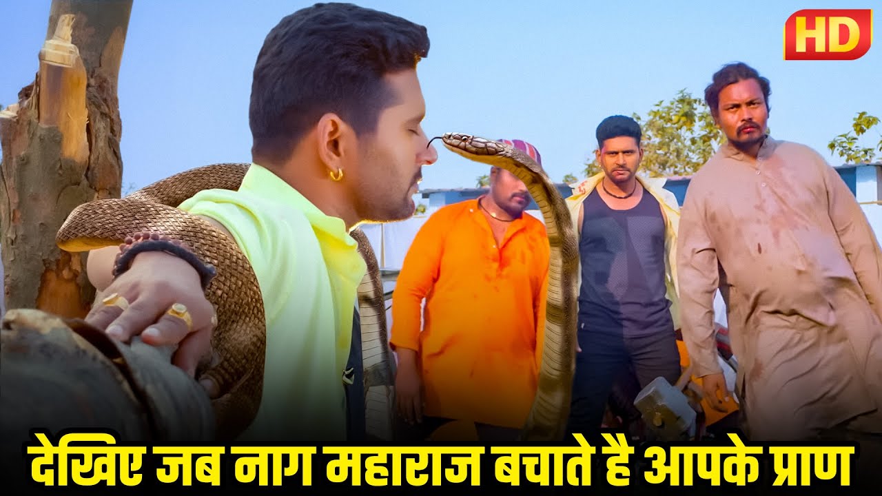 देखिए जब नाग महाराज बचाते है आपके प्राण | यश कुमार, अंजना सिंह, आकांक्षा दुबे #कसमपैदाकरनेवालेकी२