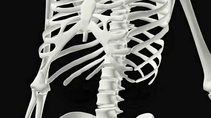 How Evolution Is Scientific Part 4: Open to Criticism (Second Edition, UHD)