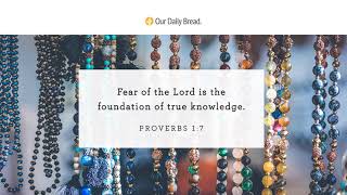 The Wisdom We Need | Audio Reading | Our Daily Bread Devotional | July 7, 2021