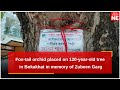 Fox-tail orchid placed on 120-year-old tree in Assam's Bokakhat in memory of Zubeen Garg