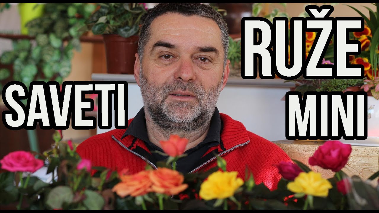 Ruže, saveti i male tajne