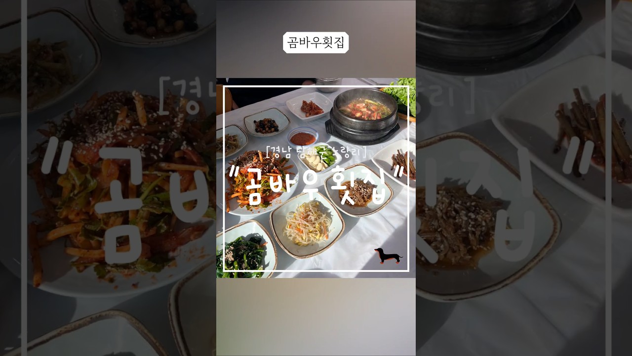 "경남" 남해 노량 횟집 곰바우횟집 = 남해가면 꼭 먹어야 할 멸치쌈밥정식#경남맛집 #남해맛집 #남해여행 #남해멸치쌈밥 #남해횟집 #경남여행 #남해아침밥 #노량횟집 #곰바우횟집