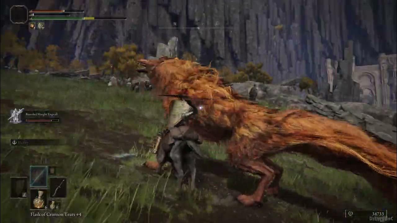 Elden Ring - Beat the Lesser Red Wolf of Radagon at Caria Manor - YouTube