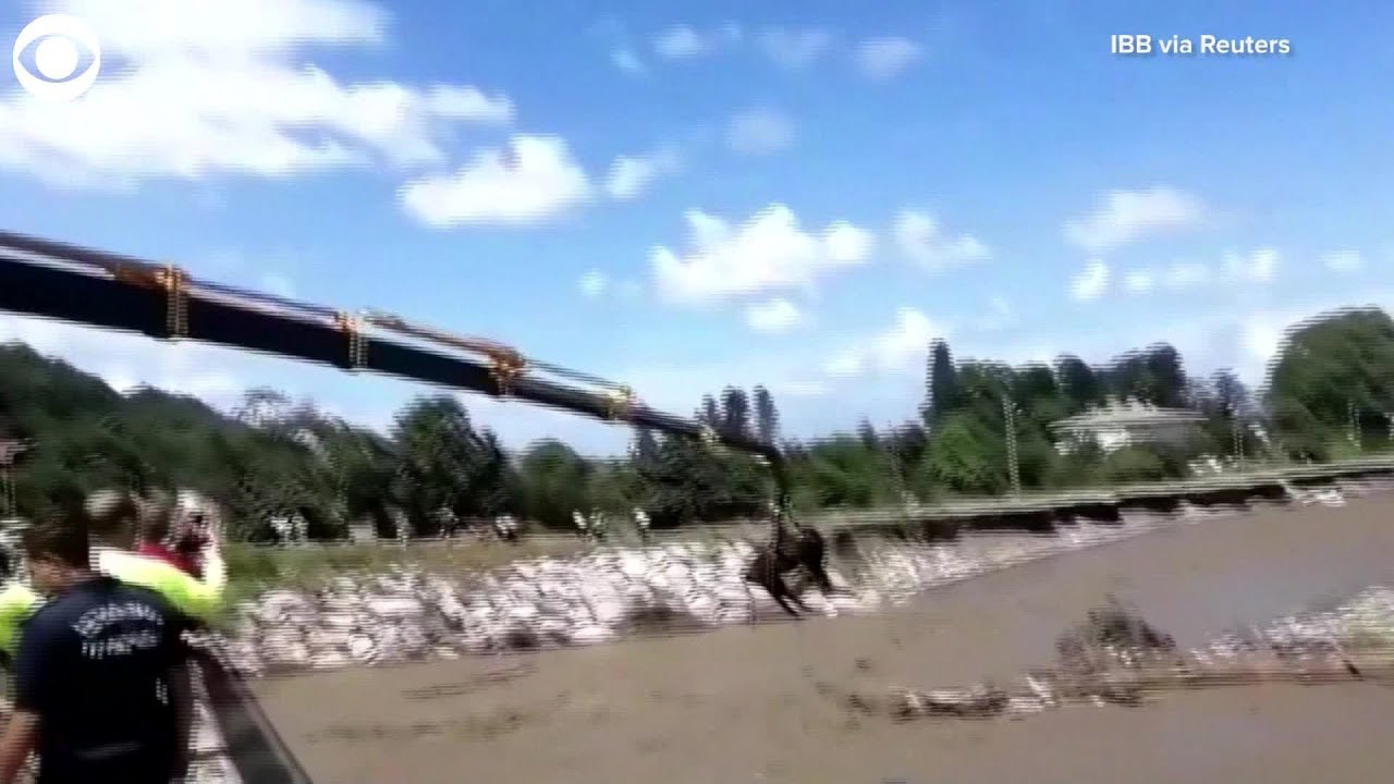 WEB EXTRA: Cow Rescued By Crane From Flood Water In Turkey - YouTube