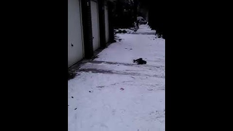 Ansmann Macum RTR on Lipo