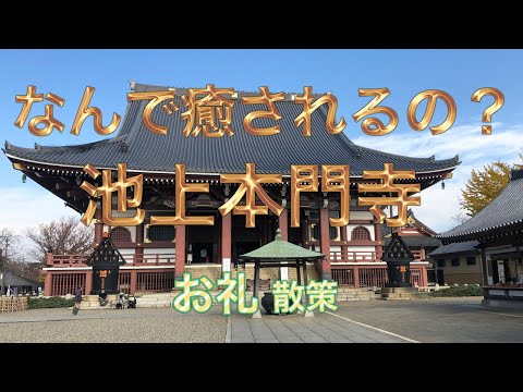 【なぜ癒されるのかな？】池上本門寺でお礼参りで、ほっこり散策(^_^)