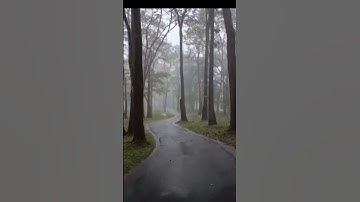 Thumbnail of 🌧🌧 INXS - Never Tear Us Apart - Michael Hutchence