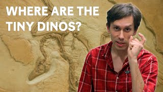 Where are All the Tiny Dinosaurs? by American Museum of Natural History 96,437 views 3 months ago 6 minutes, 33 seconds