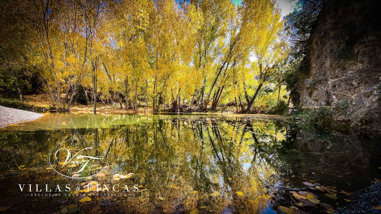 River Walk & Lunch at Restaurante San Juan, Jubrique, Andalusia