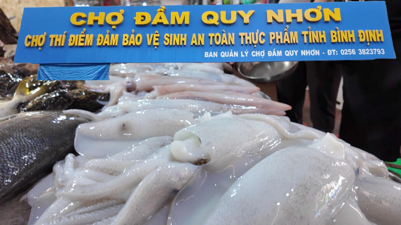 #263 : Dạo quanh cảng chợ Đầm Quy Nhơn có gì