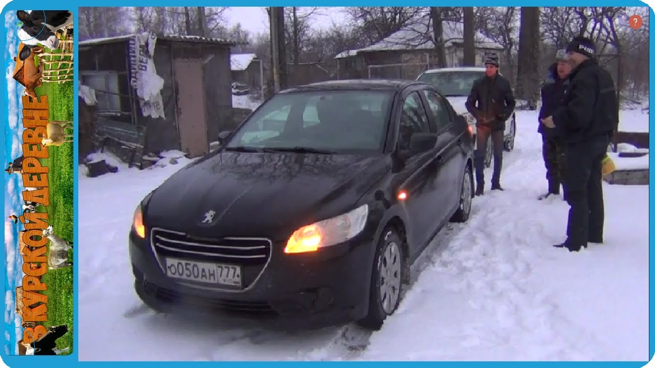 Корова поцарапала машину
