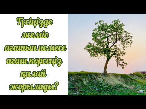 Бейне: Ағаш кесу термині нені білдіреді?