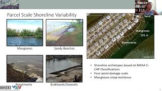 2022 Dataset Winner | Prototype-Scale Physical Model of Wave Attenuation Through a Mangrove Forest