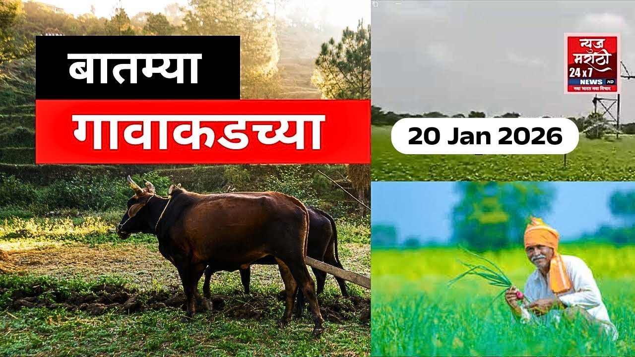 बातम्या गावाकडच्या || News Marathi 24x7