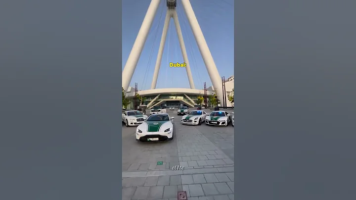 Other Police Cars vs. Dubai's Police Supercar 💀🔥