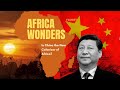The Role of China in Africa