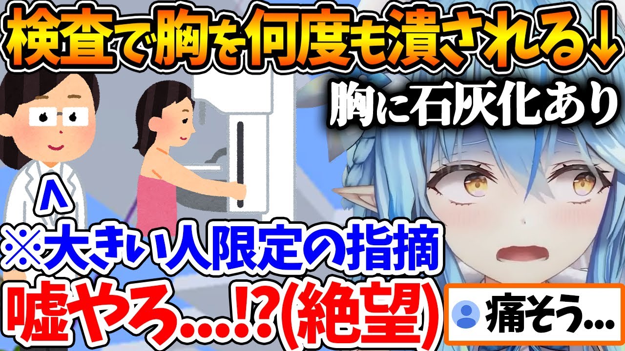 胸が大きすぎて人間ドックでまさかの指摘をされて絶望に打ちひしがれたラミィちゃん【ホロライブ/切り抜き/VTuber/ 雪花ラミィ 】