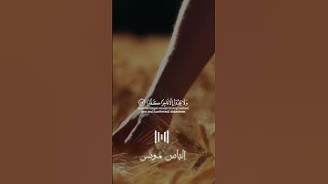 تلاوة خاشعة من سورة نوح القارئ إلياس موسى 🌙❤
